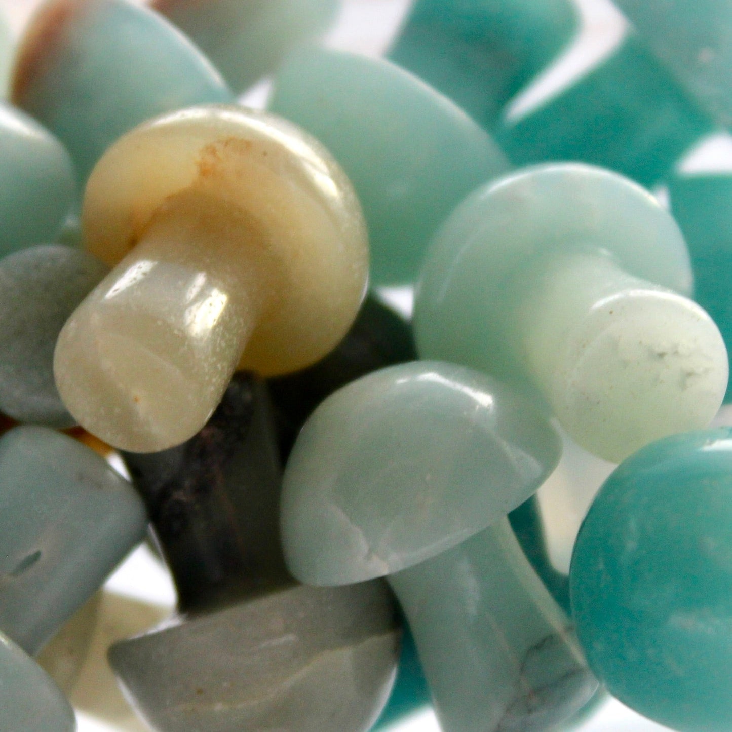 Amazonite Mushroom - Conscious Crystals New Zealand Crystal and Spiritual Shop