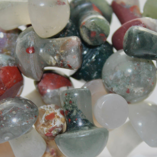 Bloodstone Mushroom - Conscious Crystals New Zealand Crystal and Spiritual Shop