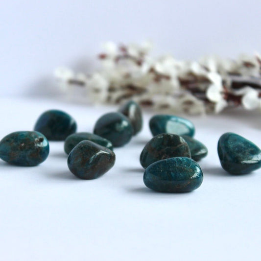 Blue Apatite Tumble - Conscious Crystals New Zealand Crystal and Spiritual Shop