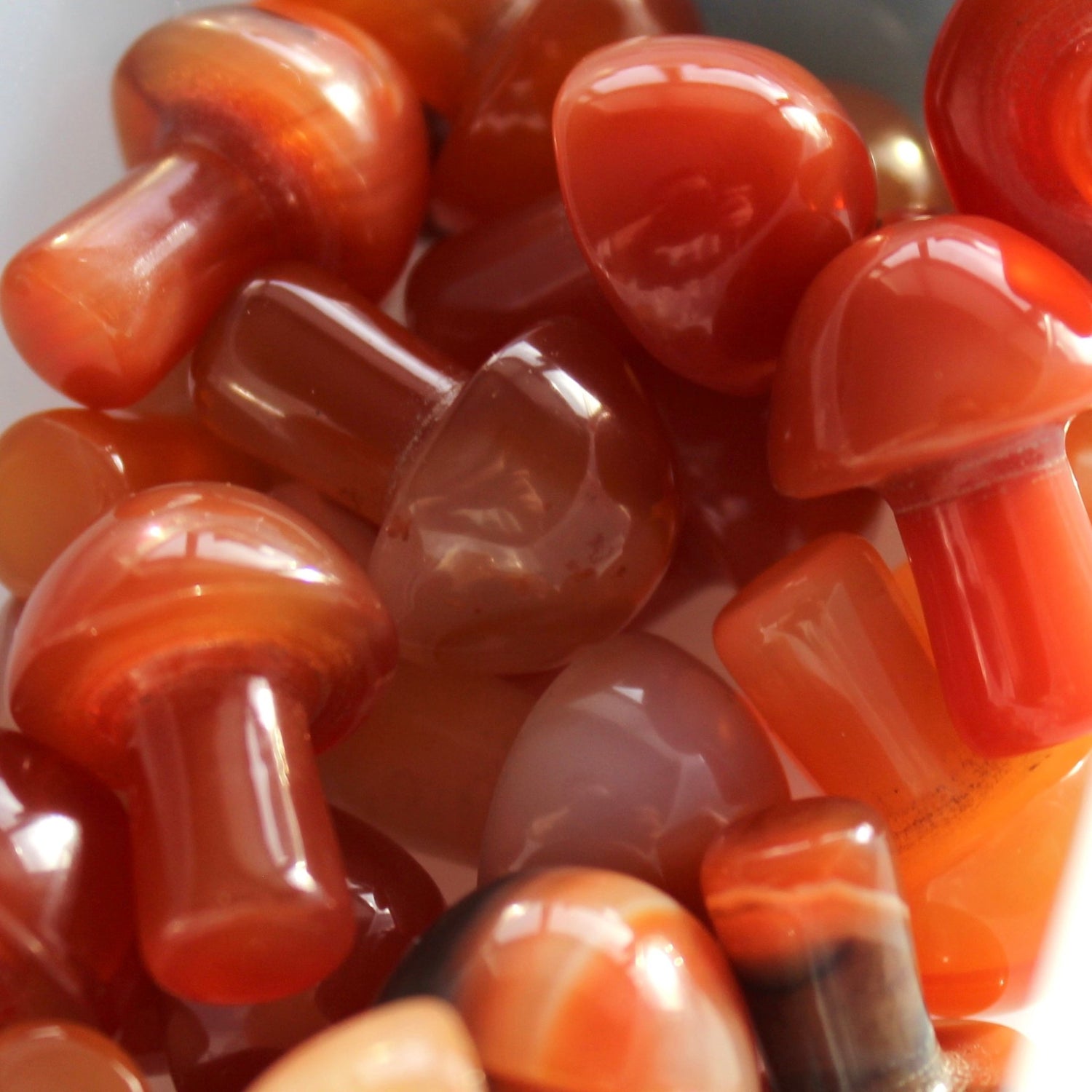 Carnelian Mushroom - Conscious Crystals New Zealand Crystal and Spiritual Shop