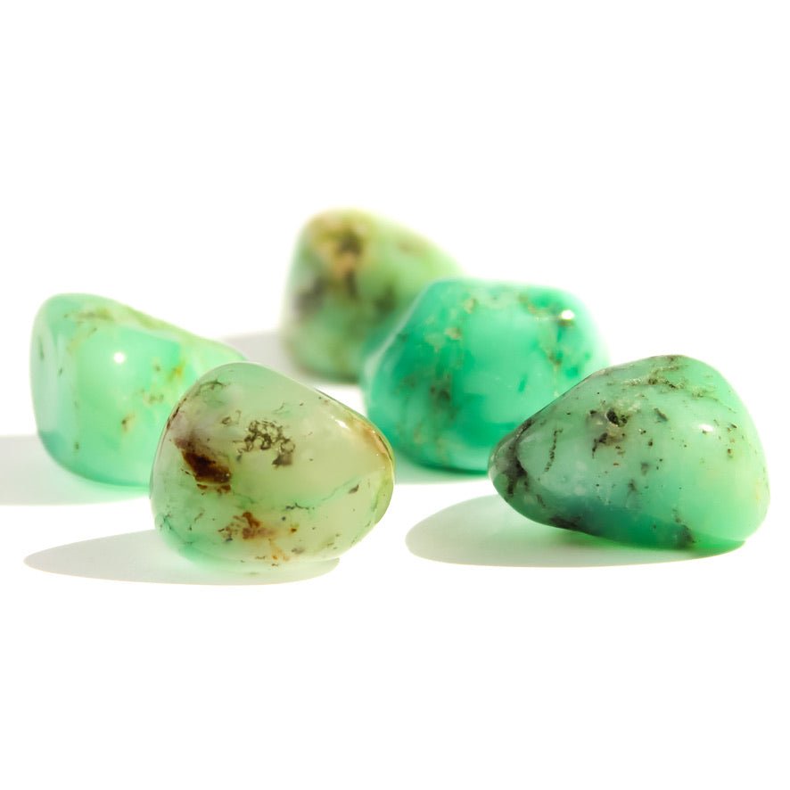 Chrysoprase Tumble - Conscious Crystals New Zealand Crystal and Spiritual Shop