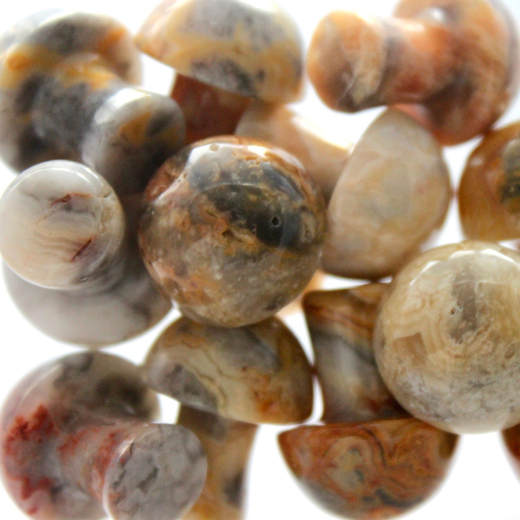 Crazy Lace Agate Mushroom - Conscious Crystals New Zealand Crystal and Spiritual Shop
