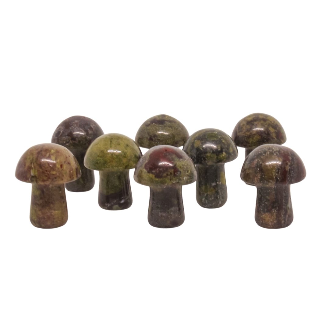 Dragon Stone Mushroom - Conscious Crystals New Zealand Crystal and Spiritual Shop