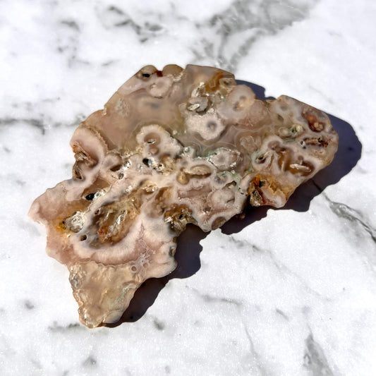 Flower Agate Slice - Conscious Crystals New Zealand Crystal and Spiritual Shop