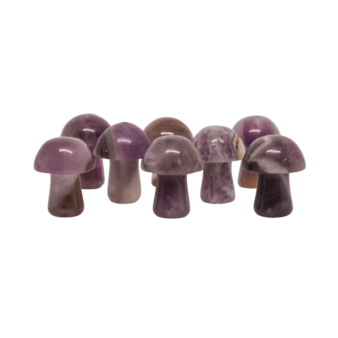 Amethyst Mushroom - Conscious Crystals New Zealand Crystal and Spiritual Shop