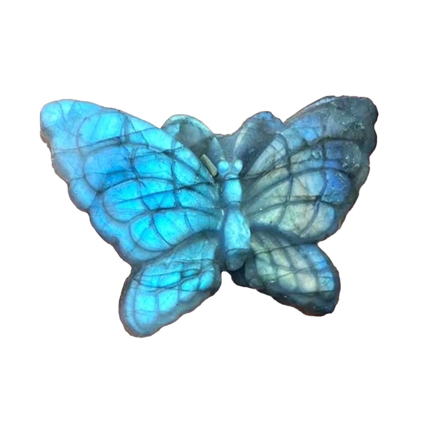 Labradorite Butterfly - Conscious Crystals New Zealand Crystal and Spiritual Shop