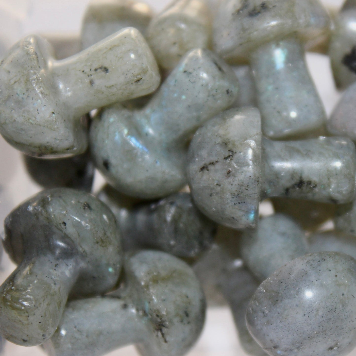 Labradorite Mushroom - Conscious Crystals New Zealand Crystal and Spiritual Shop