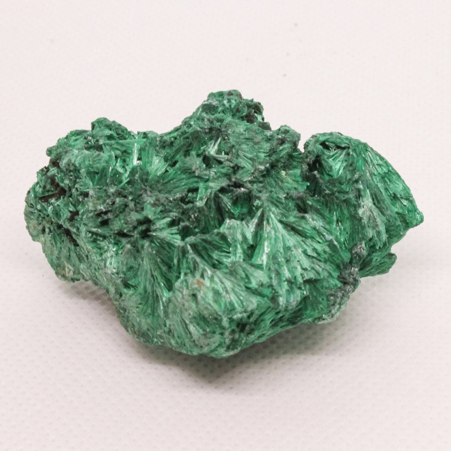 Malachite Velvet Specimen - Conscious Crystals New Zealand Crystal and Spiritual Shop