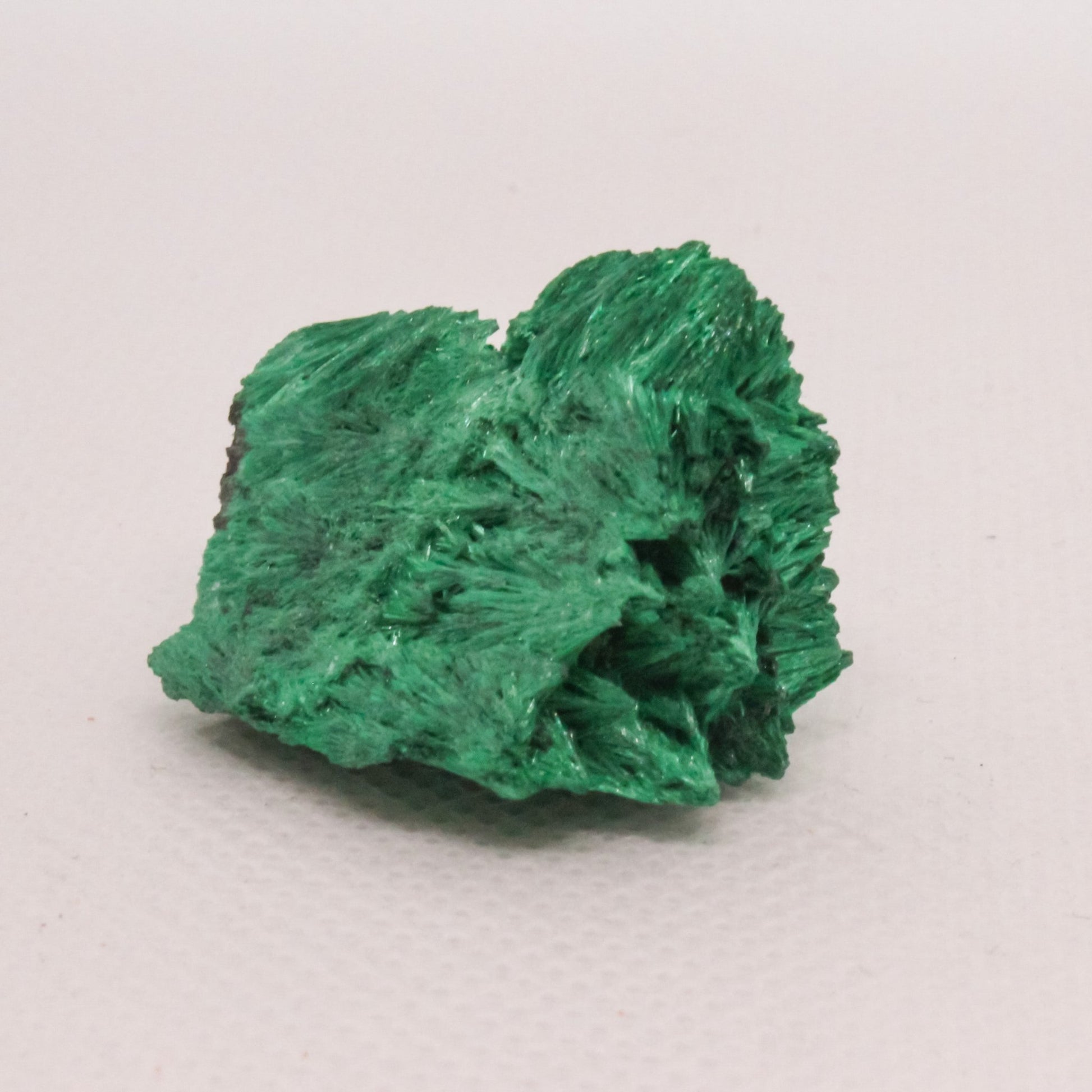 Malachite Velvet Specimen - Conscious Crystals New Zealand Crystal and Spiritual Shop