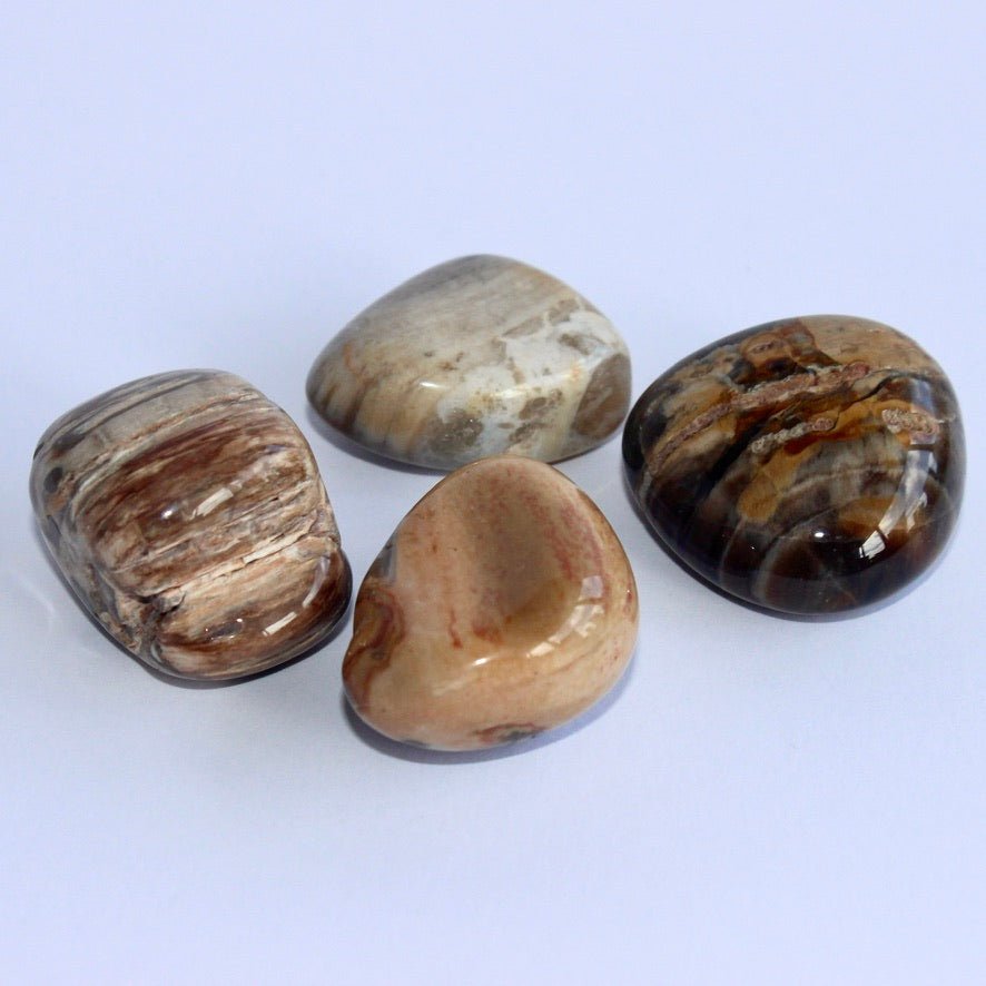 Petrified Wood Tumble - Conscious Crystals New Zealand Crystal and Spiritual Shop