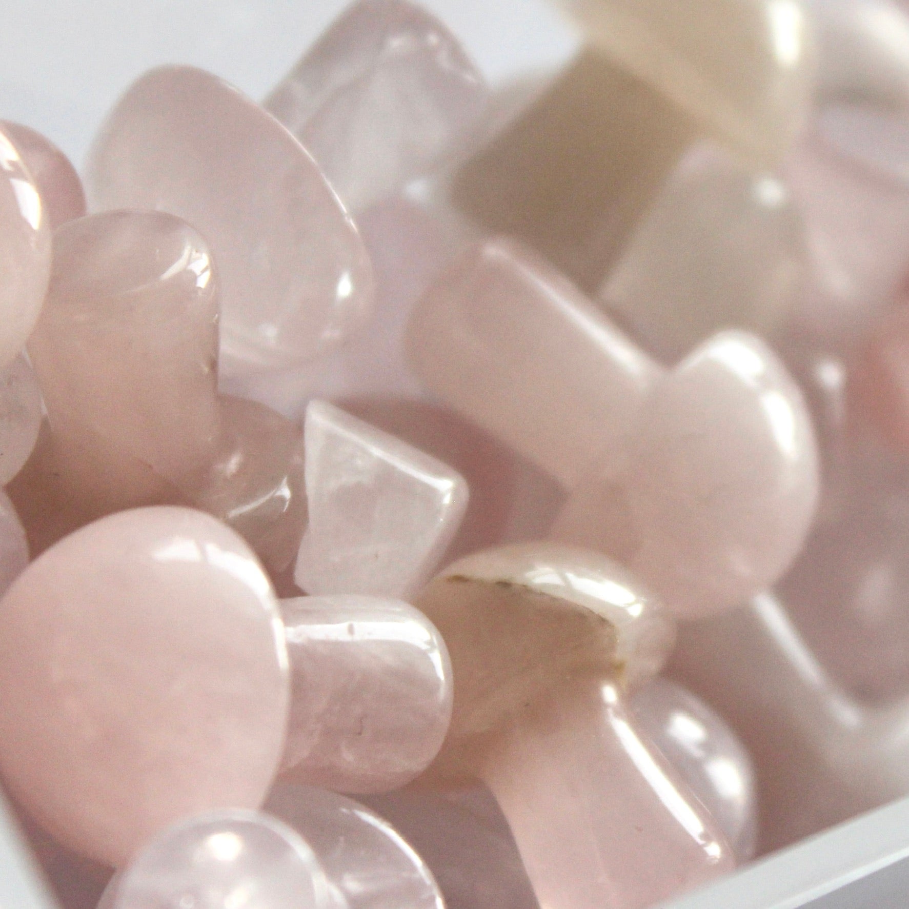 Rose Quartz Mushroom - Conscious Crystals New Zealand Crystal and Spiritual Shop