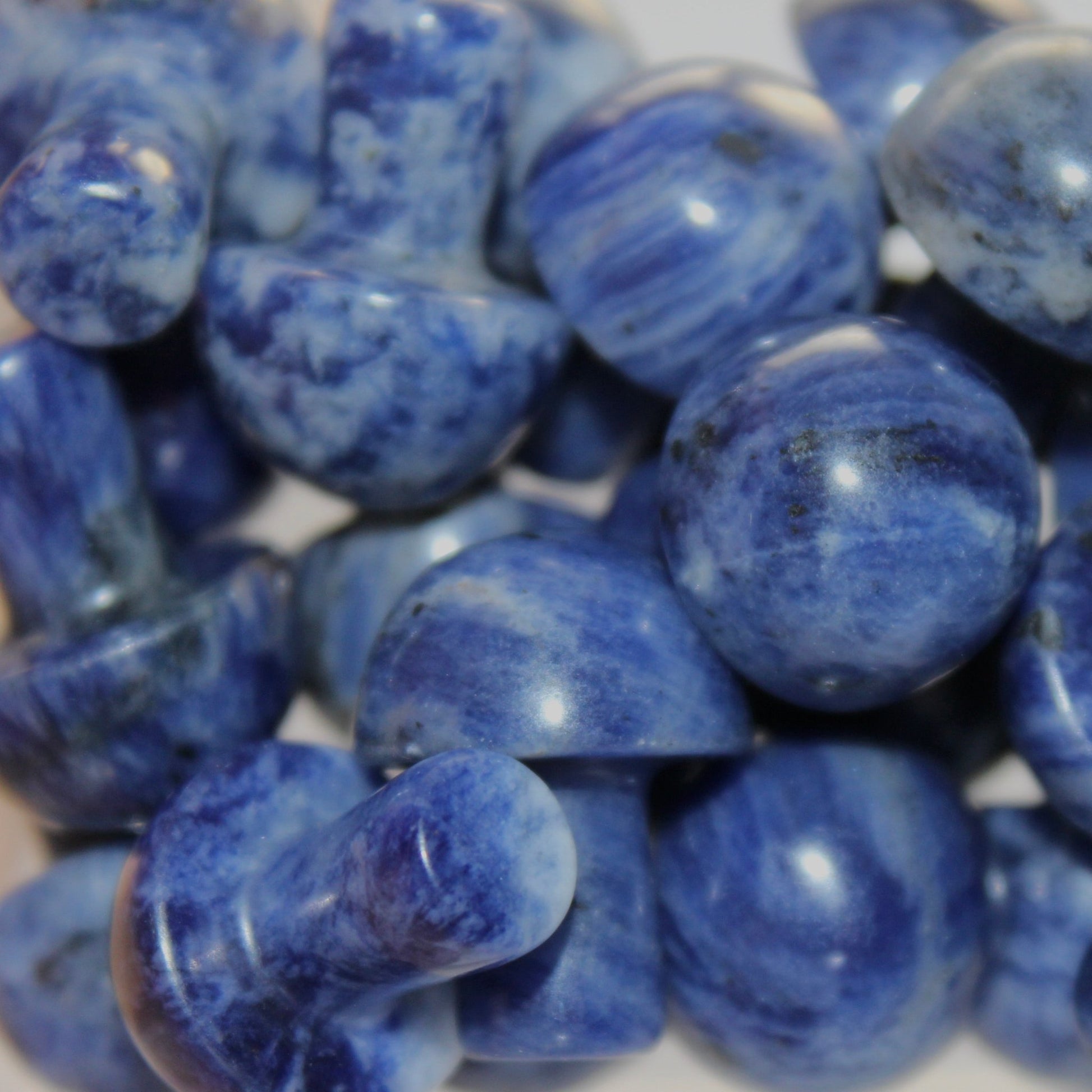 Sodalite Mushroom - Conscious Crystals New Zealand Crystal and Spiritual Shop