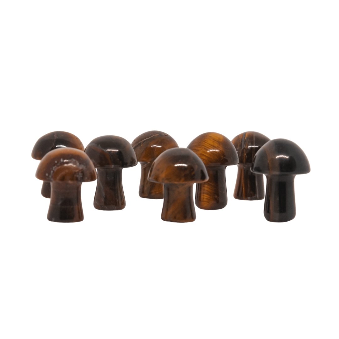 Tigers Eye Mushroom - Conscious Crystals New Zealand Crystal and Spiritual Shop