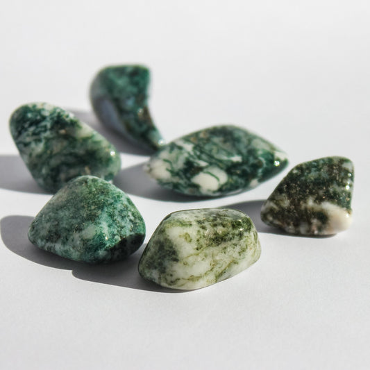 Tree Agate Tumble - Conscious Crystals New Zealand Crystal and Spiritual Shop